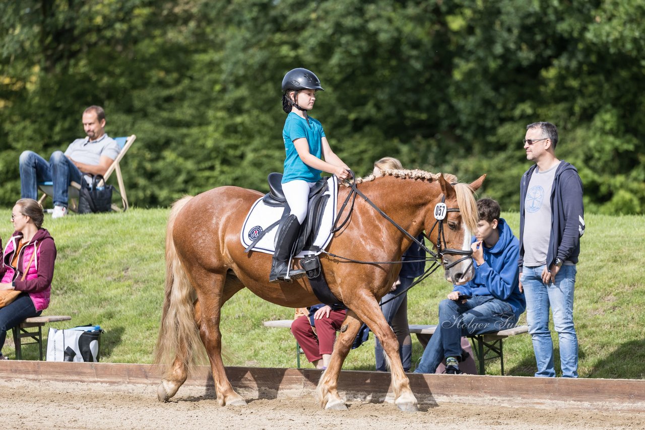 Bild 58 - Pony Akademie Turnier